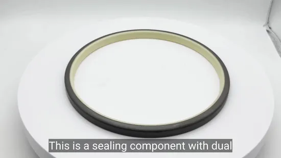 Hydraulic Dust Polyurethane Dh Dust Wiper Oil Seal